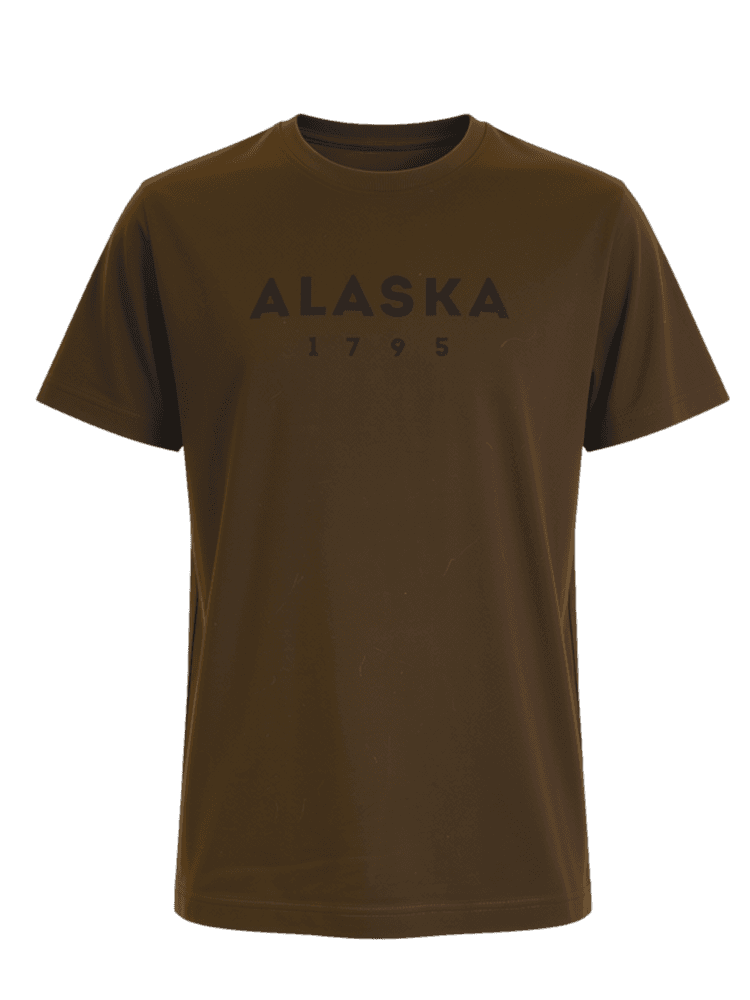 Essential Tee Ms 2-Pack Night Green-Solid Brown, view: 1