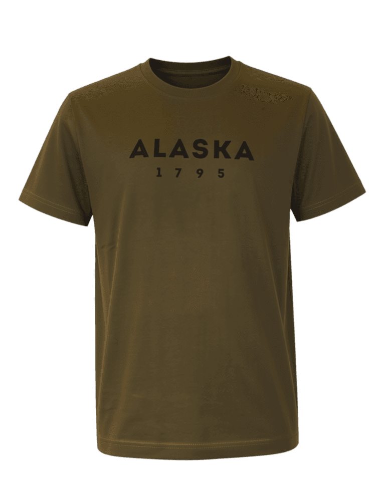 Essential Tee Ms 2-Pack Night Green-Solid Brown, view: 2