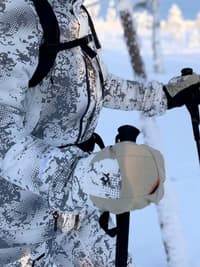 Alaska Tundra Mitten, Blur Snow - view: 1